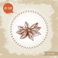 Hand drawn sketch style anise star. Engraved spice vector illustration isolated