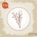 Hand drawn sketch style arugula leaves. Vector illustration isolated on old vintage background.