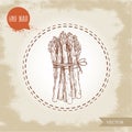 Hand drawn sketch style asparagus bunch. Organic food farm fresh vector illustration Royalty Free Stock Photo