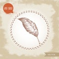 Hand drawn sketch style bay leaf. Spice and condiment vector illustration Royalty Free Stock Photo