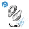 Hand drawn sketch style boiled fresh mussels. Seafood vector illustration