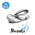 Hand drawn sketch style boiled fresh mussels. Seafood vector illustration poster