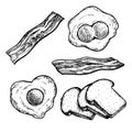 Hand drawn sketch style breakfast ingredients set. Toasted bread slices, fried eggs and bacon. Best for menu designs and packages.