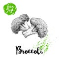 Hand drawn sketch style broccoli composition. Fresh farm vegetables vector illustration.