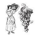 Hand drawn sketch style bunch of grapes and beautiful peasant woman carrying basket of grapes. Vector illustration