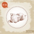 Hand drawn sketch style cauliflowers. Vector farm fresh food illustration Royalty Free Stock Photo