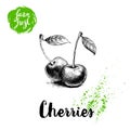 Hand drawn sketch style cherries poster. Group farm fresh berries with leaf. Eco food fruits