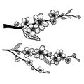 Hand drawn sketch style cherry blossom set. Spring flower illustration. Best for greeting cards, invitations designs.