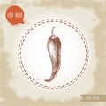 Hand drawn sketch style chili pepper. Royalty Free Stock Photo