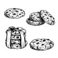Hand drawn sketch style chocolate chip cookies set. Single and in the stack. Vintage retro ink style vector illustrations. Best fo