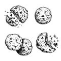 Hand drawn sketch style chocolate chip cookies set. Single whole and crumbled biscuits. Vintage retro ink style vector illustratio Royalty Free Stock Photo