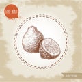 Hand drawn sketch style composition of bergamot fruit. Kaffir lime whole and half vector illustration. Organic food.