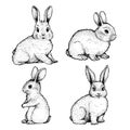 Hand drawn sketch style cute bunnies set. Easter spring animal symbols collection. Rabbit, farm animal.