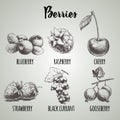 Hand drawn sketch style different berries set. Royalty Free Stock Photo