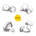 Hand drawn sketch style fresh fram mushrooms compositions set. Champignons, oysters, chanterelles and porcini mushrooms. Organic e Royalty Free Stock Photo