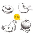 Hand drawn sketch style fruits set. Royalty Free Stock Photo