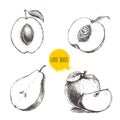 Hand drawn sketch style fruits set. Royalty Free Stock Photo