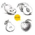 Hand drawn sketch style fruits set. Royalty Free Stock Photo