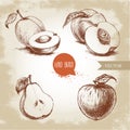 Hand drawn sketch style fruits set. Apricots, peaches , half pear, apple. Royalty Free Stock Photo