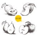 Hand drawn sketch style fruits set. Royalty Free Stock Photo