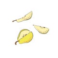 Hand drawn sketch style fruits set. Bio food vector illustration collection on white background. Slice pear. Royalty Free Stock Photo