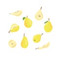 Hand drawn sketch style fruits set. Bio food vector illustration collection on white background. Slice pear Royalty Free Stock Photo