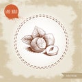 Hand drawn sketch style hazelnuts group with leaves. Eco forest nut filbert. Vector illustration