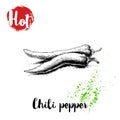 Hand drawn sketch style hot chili peppers poster. Vector illustration Royalty Free Stock Photo