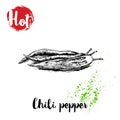 Hand drawn sketch style hot chili peppers poster. Whole an cut.