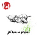 Hand drawn sketch style hot jalapeno pepper whole and cut poster. Red label with hot sign. Vector illustration Royalty Free Stock Photo