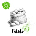 Hand drawn sketch style illustration of ripe potatoes in burlap bag. Farm fresh vector illustration poster.