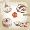 Hand drawn sketch style illustration of spices. Garlic, ginger root, onion and sliced red hot chili peppers.