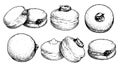 Hand drawn sketch style Italian Bombolone set. Baked with chocolate and white cream inside. Traditional Italian desserts.