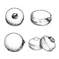 Hand drawn sketch style Italian Bombolone set. Baked with chocolate and white cream inside. Traditional Italian desserts.