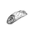 Hand drawn sketch style Italian dessert cannoli. Fried sweet pastry and ricotta cheese cream. Chocolate crispies decorated. Tradit Royalty Free Stock Photo