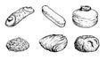 Hand drawn sketch style Italian pastry set. Cannoli, savoyardi, bombolone, pignoli, sfogliatelle, amaretti.