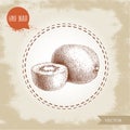 Hand drawn sketch style kiwi fruit vector illustration. Royalty Free Stock Photo