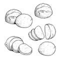 Hand drawn sketch style mozzarella cheese set. Traditional Italian soft cheese. Single, in group, whole and sliced, top view. Vect Royalty Free Stock Photo