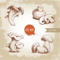 Hand drawn sketch style mushrooms compositions set. Champignon with cuts, oysters, chanterelles and porcini mushrooms.