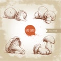 Hand drawn sketch style mushrooms compositions set. Champignons, oysters, chanterelles and porcini mushrooms. Royalty Free Stock Photo