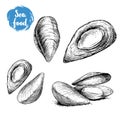 Hand drawn sketch style mussels set. Closed and opened. Fresh and cooked. Sea food vector illustration Royalty Free Stock Photo