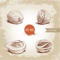 Hand drawn sketch style nutmegs set. Dried seeds and fresh mace fruits. Royalty Free Stock Photo