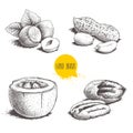 Hand drawn sketch style nuts set. Hazelnuts with leaves, peanuts, Brazilian nuts and pecan groups. Healthy food illustration. Vect