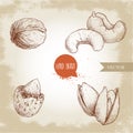 Hand drawn sketch style nuts set. Walnut, cashew, almond and pistachios. Collection of healthy natural food. Vector illustrations