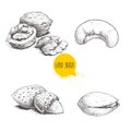 Hand drawn sketch style nuts set. Walnut, cashew, almond and pistachios. Collection of healthy natural food. Vector illustrations