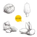 Hand drawn sketch style nuts set. Walnut, cashew fruit, almonds and pistachios. Collection of healthy natural food. Vector illustr