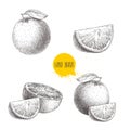 Hand drawn sketch style orange fruit compositions set. Whole fruit and slices. Vector citrus fruit illustration