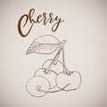 Hand drawn sketch style painting cherry