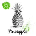 Hand drawn sketch style pineapple poster. Vector pineapple eco food illustration.