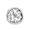 Hand drawn sketch style pizza Margherita. Top view. Traditional Italian cuisine. Dough, tomato sauce, melted mozzarella cheese an